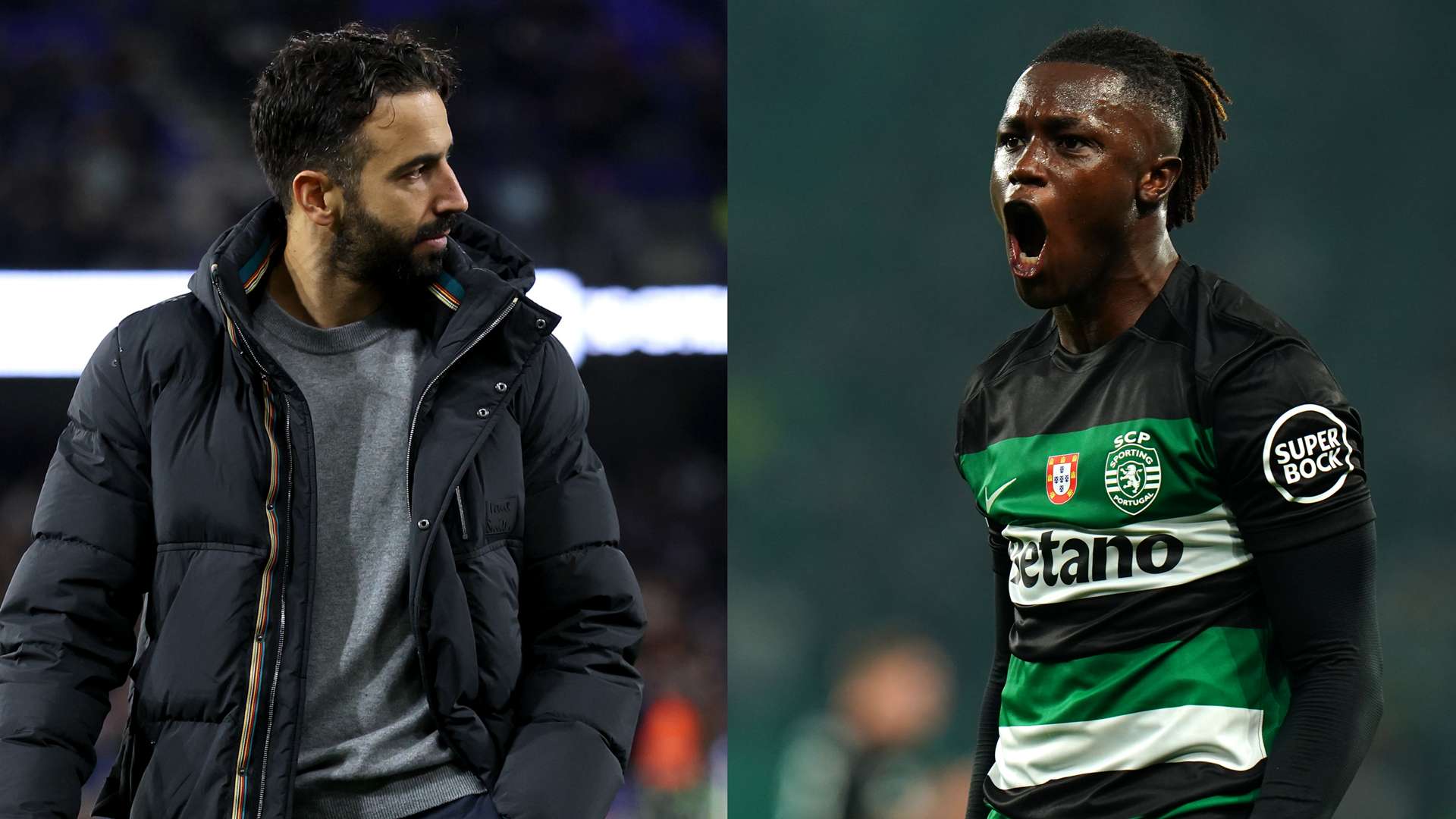 自从林加德 自从林加德