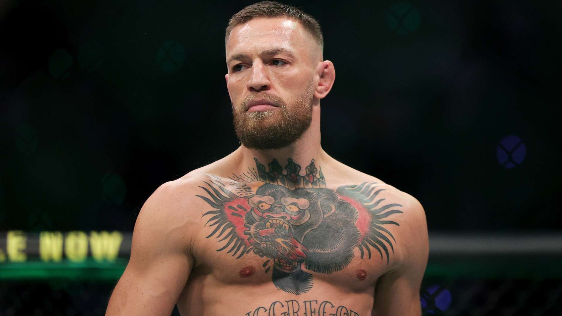 成为这场硬 成为这场硬